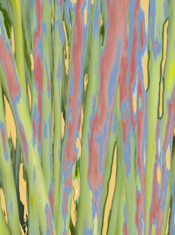 Moving trees 73 digital painting 52 70