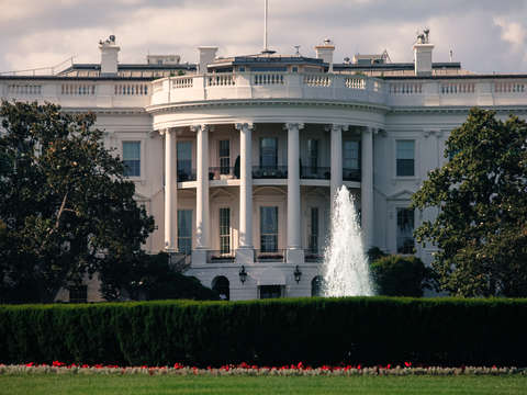 The white house