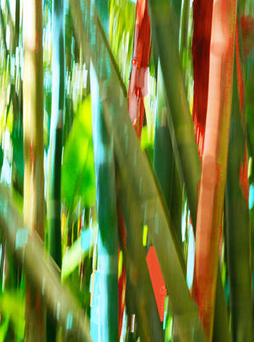 Moving trees 70 digital painting 52 70