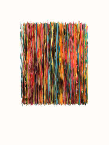 Color and lines 11