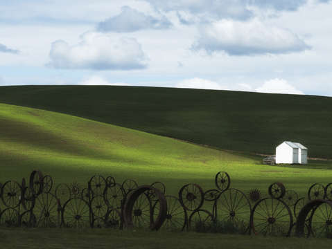 The fence