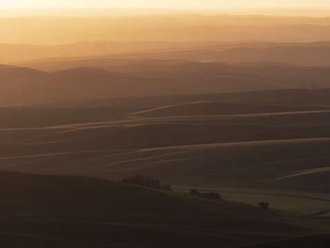 Sunset 28
