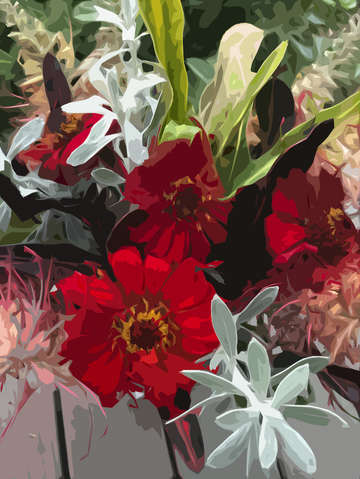 Red zinnias
