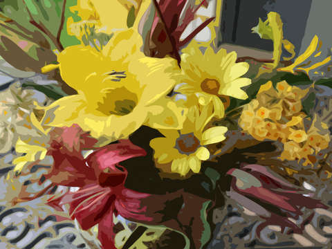 Daylillies and daisies