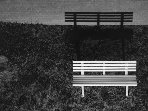 Bologna bench