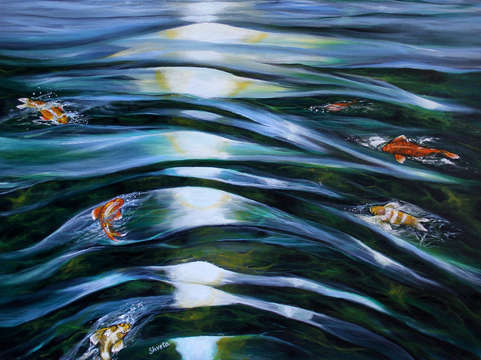 Koi fish