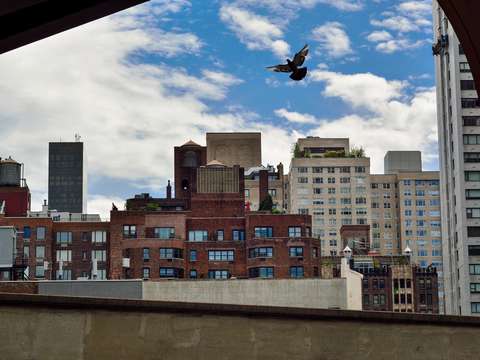 Visions of new york soaring under the bridge