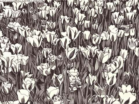 Tulip fever
