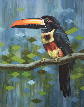Pteroglossus frantzii
