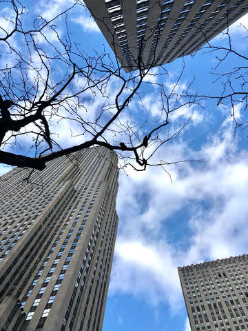 Skyscraper manhattan new york
