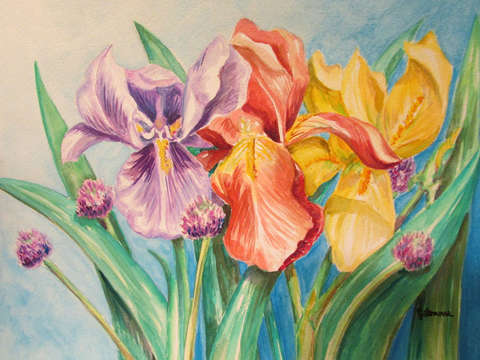 Irises and chives