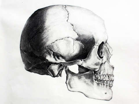 Memento mori 3