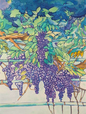 Wisteria watercolor