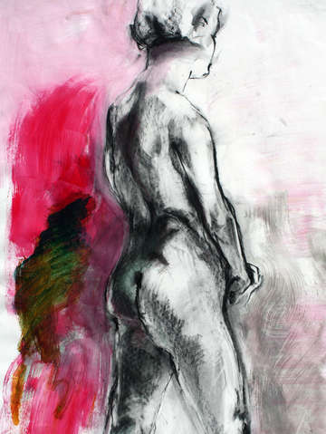 Painted lady 2