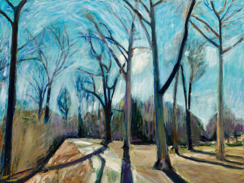 Cold sun in the neathermead prospect park brooklyn