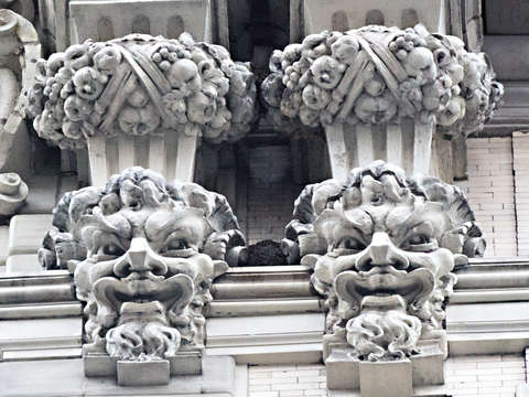 Ansonia