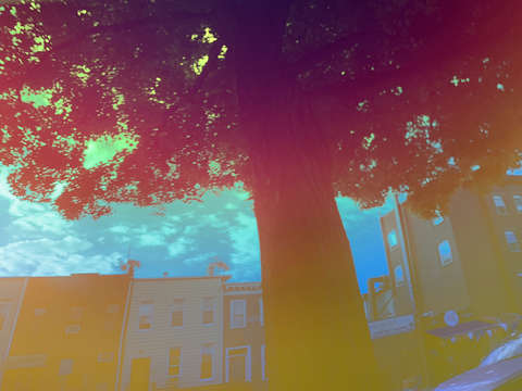 Brownstones 2