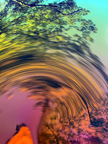 Tree swirl