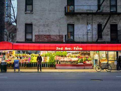 Visions of new york 2nd ave farm