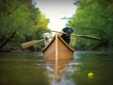 Adventurers