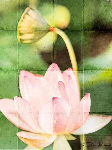 Lotus 91