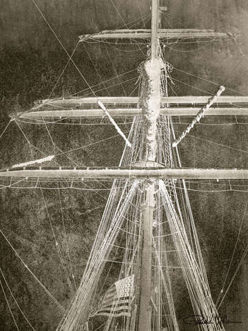 Eagle 1