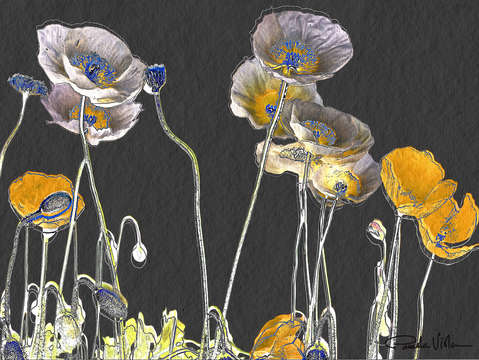 Poppies darkside