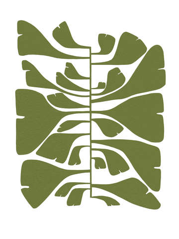 Gingko 2