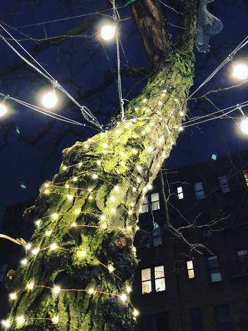Galaxy of plg brooklyn new york