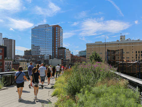 Path toward freedom nyc