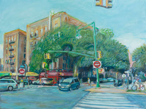 American elm on lincoln road