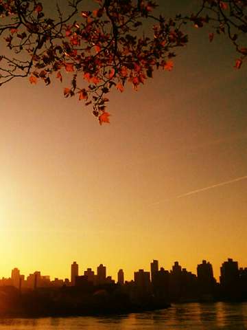 Autumn Over East Manhattan