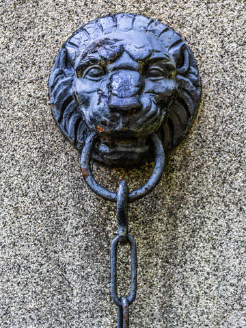 Lion chain