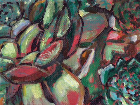 Succulents 2
