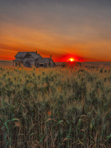 Homestead sunrise