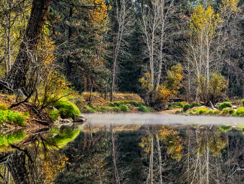 Fall at yosemite