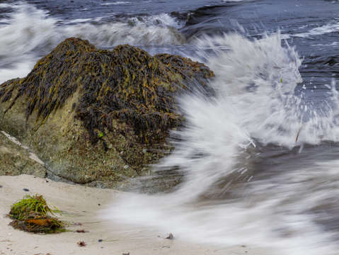 Wave splash in color