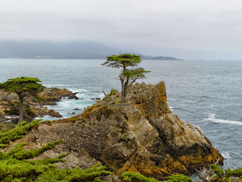 Cypress point