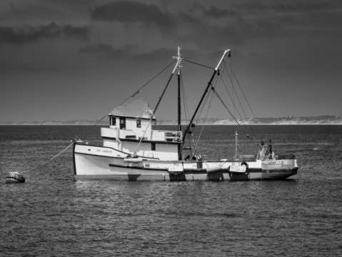 Monterey fishing boat in bw