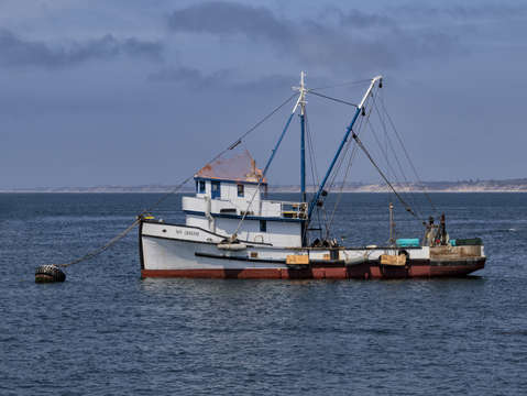 Monterey fishing boat