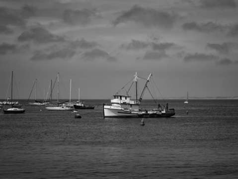 Monterey bay in bw