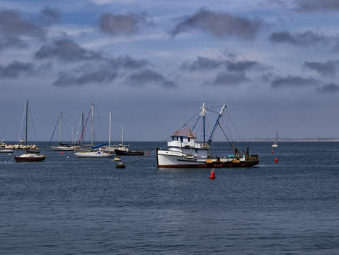 Monterey bay 2