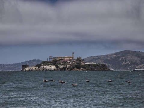 Alcatraz