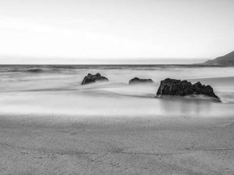 Magical mystical garrapata 1