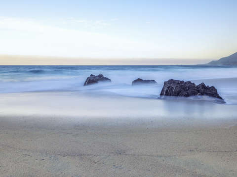 Magical mystical garrapata 2