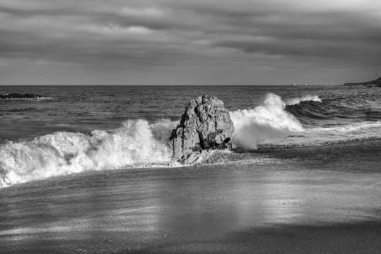 Solitude at garrapata