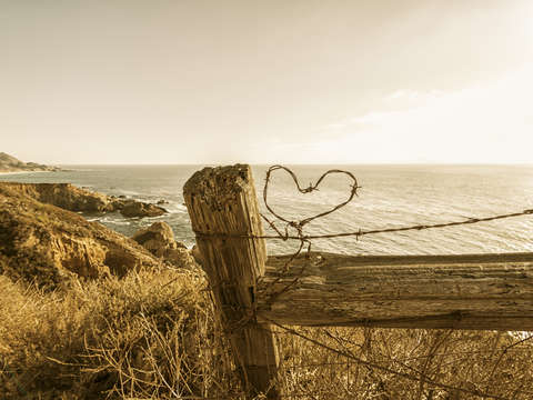 Barb wire heart by the sea 1