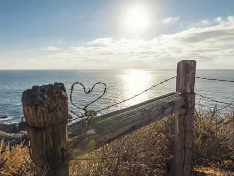 Barb wire heart by the sea 2