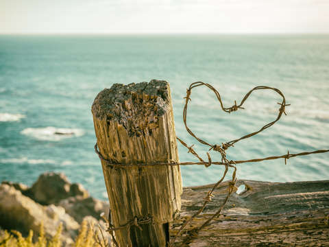 Barb wire heart by the sea 3