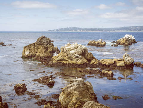 Point lobos vintage vibe